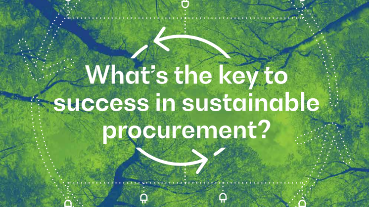 Sustainability-infographic-2021.pdf