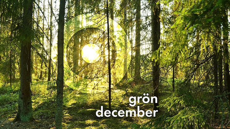 Procurator väljer en grön december - ett träd för varje ny kund!
