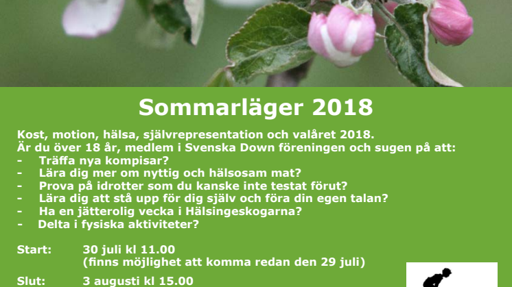 Sommarläger 2018 - FULLBOKAT!