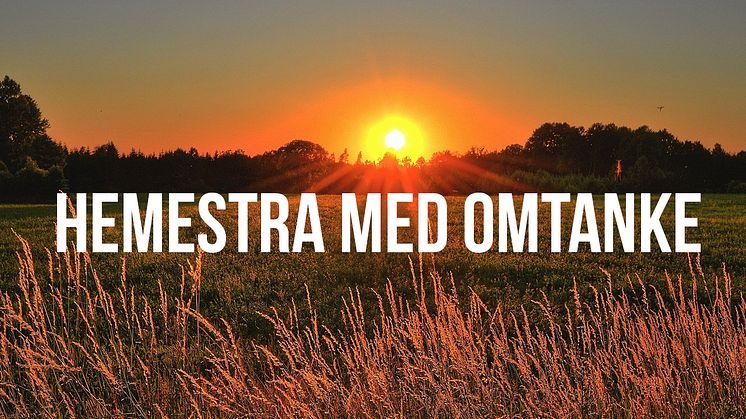 Tanka smartare i sommar