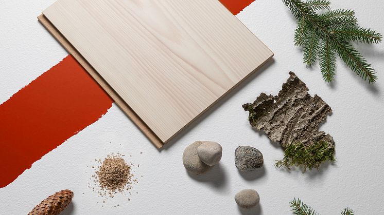 BJELIN-CUREDSPRUCE 2