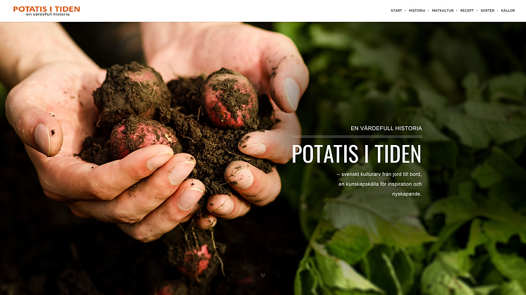 Startsida hemsidan "Potatis i tiden"