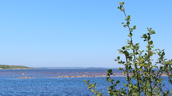 Svensbyfjärden blir ett vattenskyddsområde för att säkra tillgången till dricksvatten - idag och i framtiden. Foto: Jenny Bergman