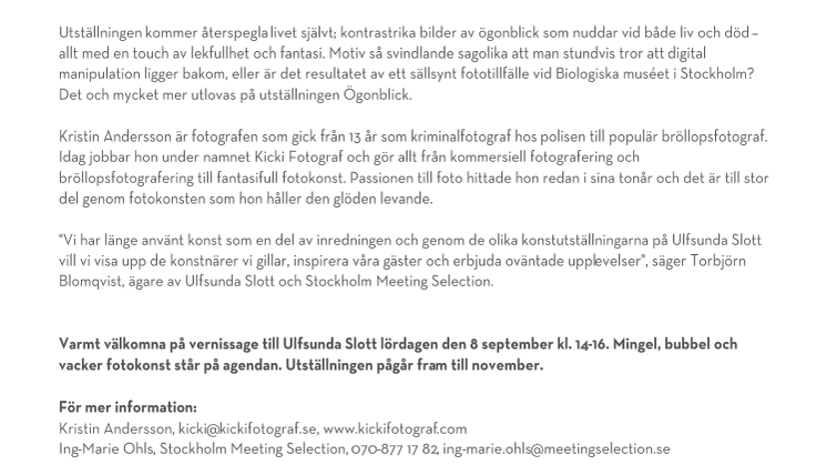 Vernissage på Galleri Ulfsunda - Ögonblick av Kicki Fotograf