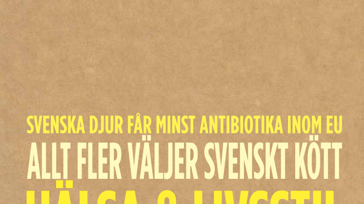 Rapport 2015: Värderingsförflyttning pågår 