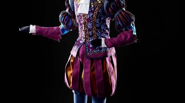 Cosplay Chronicles Sörmlands museum Dandelion