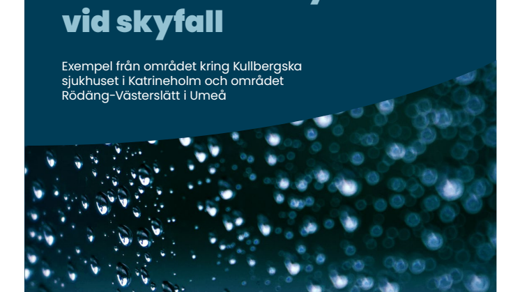 Samhällsekonomiska kostnader och nyttor vid skyfall