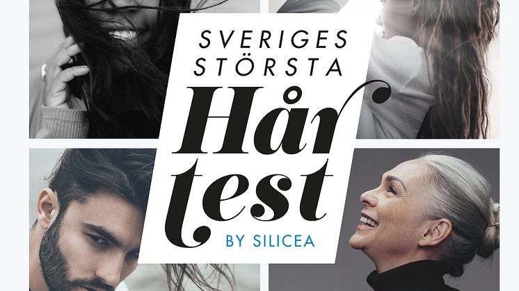 Sveriges största hårtest_kollage