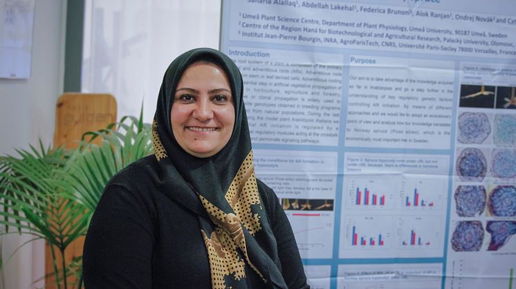 Sanaria Abbas Jaafer Alallaq, doktorand på Umeå Plant Science Centre, Institutionen för fysiologisk botanik vid Umeå universitet. Foto: Eva-Maria Diehl