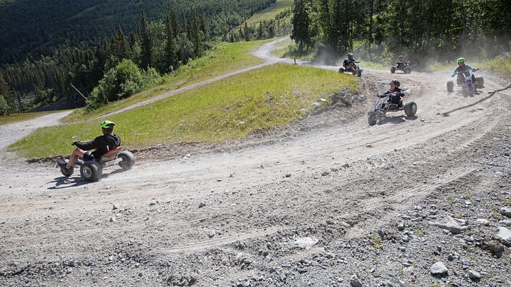Hemsedal Mountain Cart