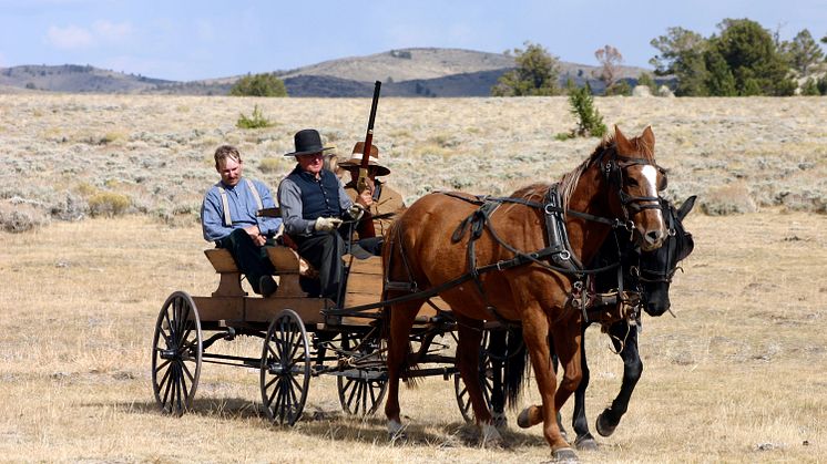 Cowboys & Outlaws