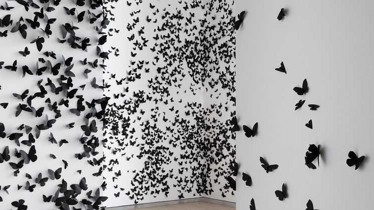 Carlos Amorales, Svarta moln, Black Cloud, Animal Kingdom