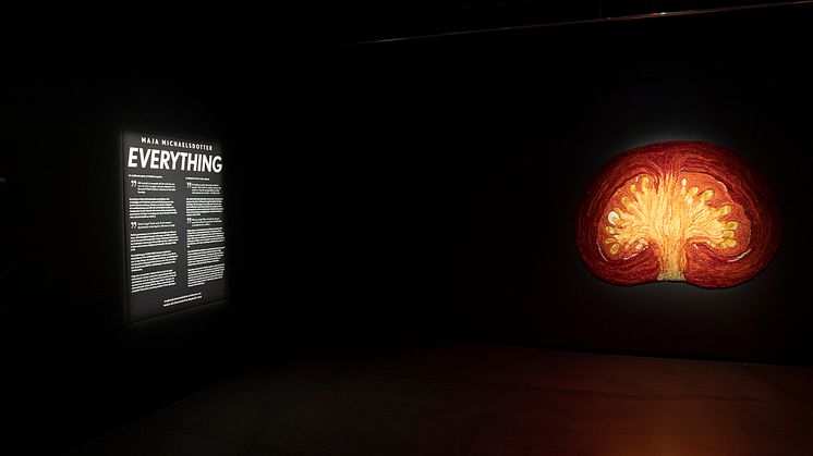 Maja Michaelsdotter, EVERYTHING