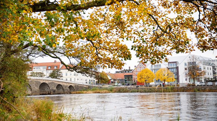 Tullbron
