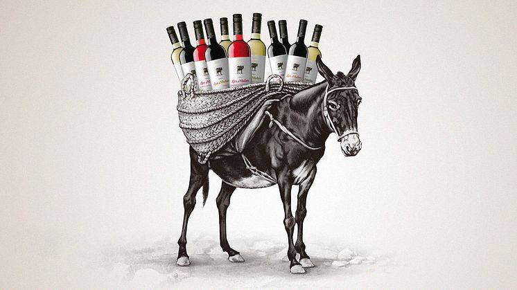 Carmenère – utrotad och bortglömd men nu som ny årgång!