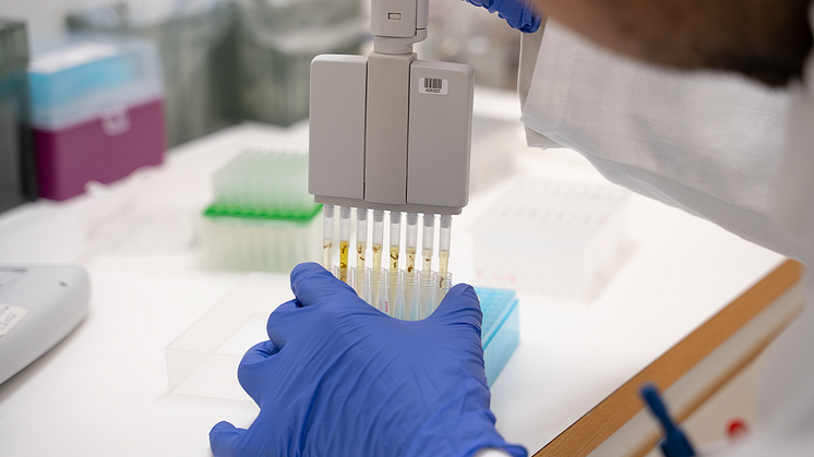 PCR 03