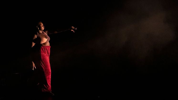 Company Nicolas Huchard - The barefoot diva