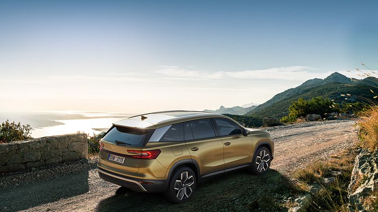 Ny Kodiaq 2024