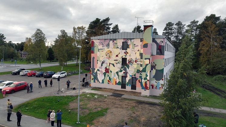 Kim Somervuori, "Kaupunkikukkia" (2023), Raahe. Kuva: Antti Baas
