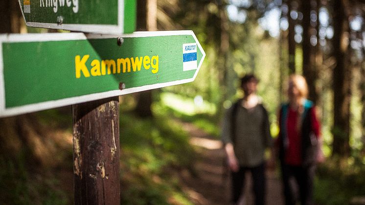 Kammweg_Foto TVE_Rene Gaens.jpg