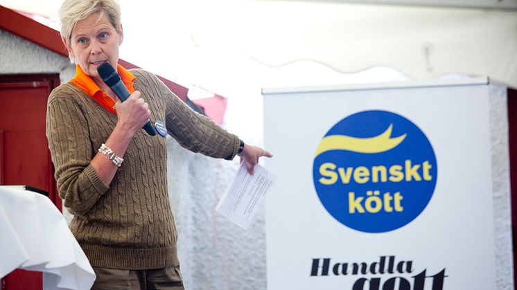 Svenskt Kött i Almedalen 2013: "Sveriges dyraste matkasse?"