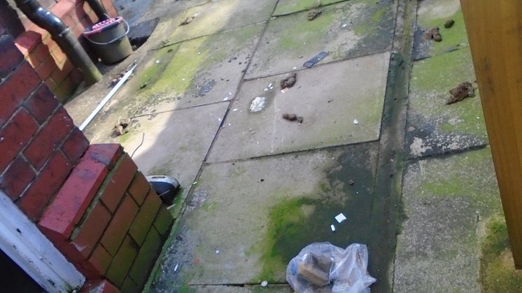 ​Pet owner’s £1,806 bill after refusing to clean up his dog’s mess