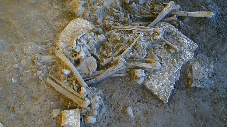 Stenålderns jägare/samlare assimilerades av samtidens jordbrukare