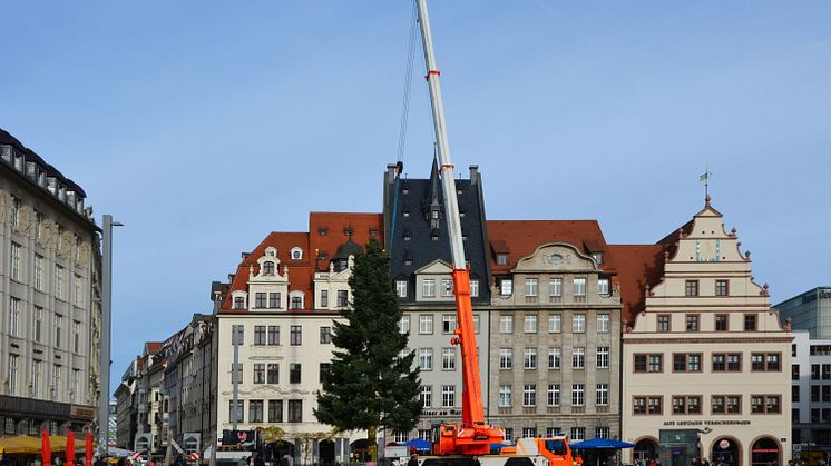 Eine 22 Meter hohe Tanne aus dem Vogtland ist Leipzigs Weihnachtsbaum 2022 - Foto: Theresa Wappes