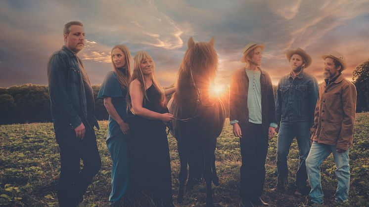Dennis Hollström and The Ponnies.jpg
