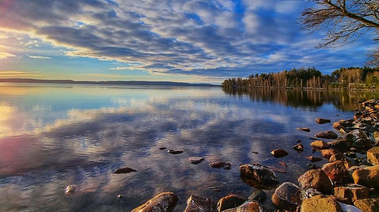 Järnsjön, Årjäng Foto: Peter Andersson