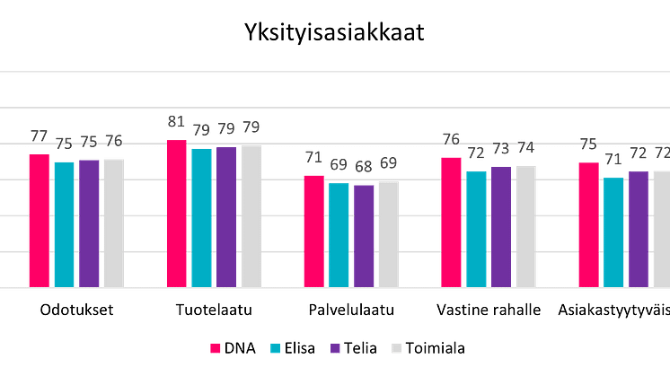 Asiakastyytyväisyyden osa-alueet, puhelinliittymät, yksityisasiakkaat 2024.png