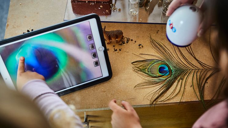 Förskoleförvaltningen får kvalitetsutmärkelsen Guldtrappan för sitt digitala arbete.