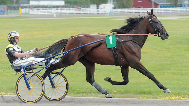 V86: Onsdag Xpress tillbaka på Solvalla och Bergsåker