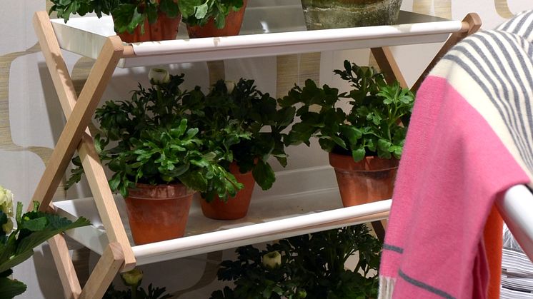 Inred med Krukväxter i stilen Penthouse Perfect 