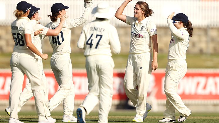Sciver took 3-41. Photo: Getty Images