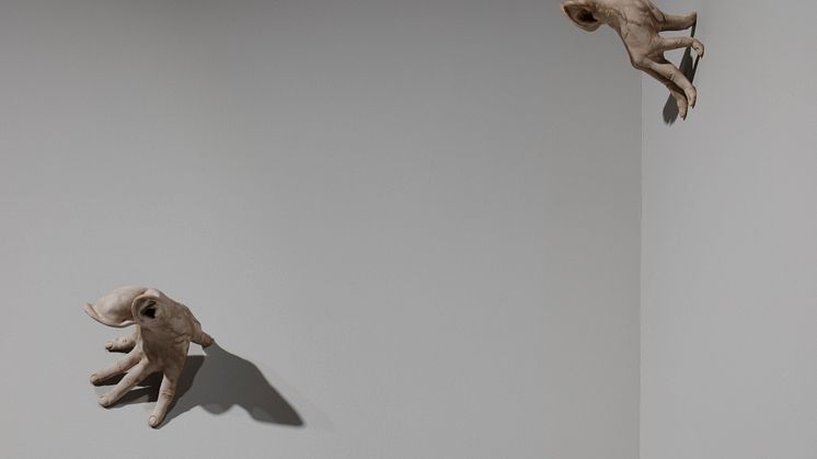 John Jakobsson 'Amongst the wonders of nature', detalj. Symbiosis, Färgfabriken.