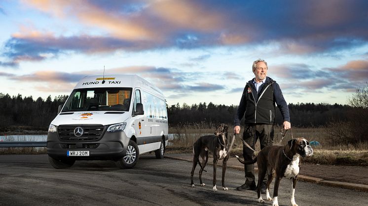 eSprinter Hundtaxi