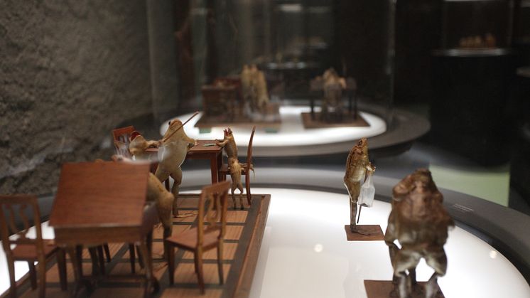 Exponat im Froschmuseum