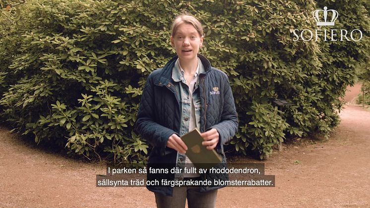Om rhododendrons historia på Sofiero