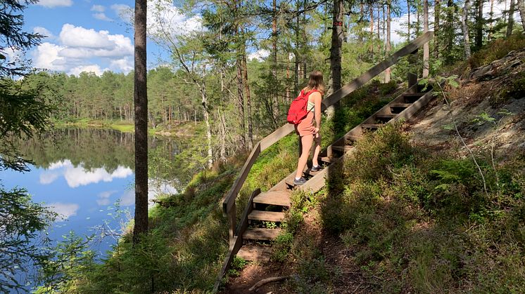 På lördag firar Tresticklans nationalpark 25 år. Foto: Amelie Wintzell