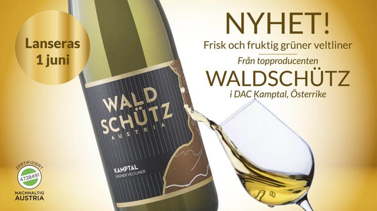 Den 1 juni lanseras Waldschütz Grüner Veltliner Kamptal DAC i Systembolagets fasta sortiment. 