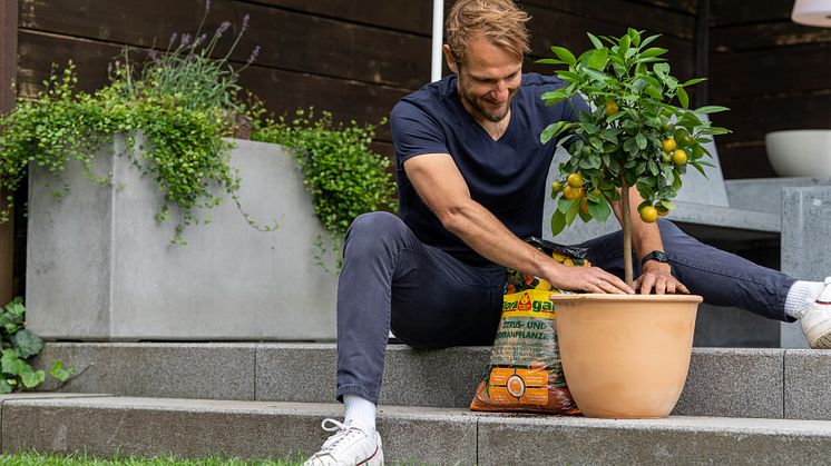 Floragard_Zitrus- und Mediterranpflanzen Erde_Gartenambiente_Pflanzen.jpg
