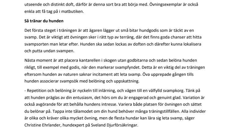 Träna hunden till att bli en duktig svampletare! 