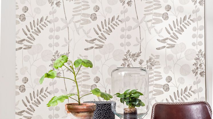Borosan Papper17, 3534 Botany