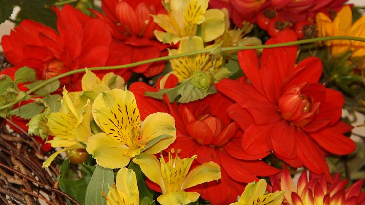 Uttagstävling till SM i Blomsterbinderi på Nordstan 2/9