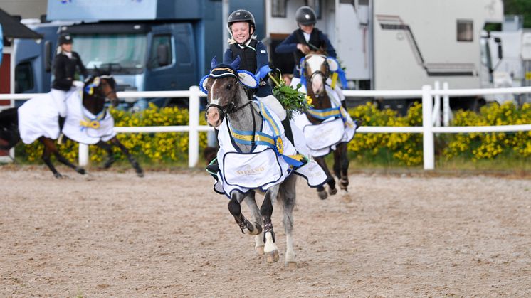 Ärevarv Sveland Cup 2016