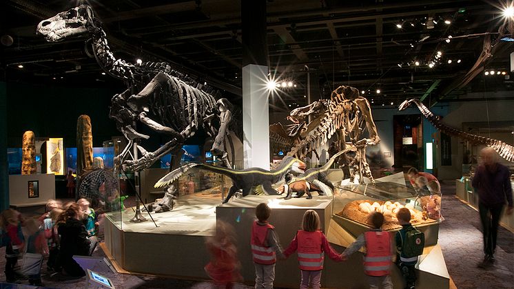 ​​​​​Naturhistoriska riksmuseet lockar allt fler besökare