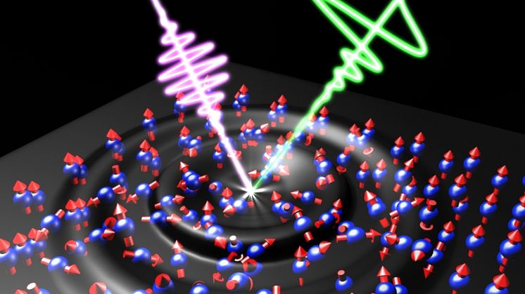 I en nanotunn järnbit har forskarna kunnat mäta magnetiseringsförändringar. Bild: Bielefeld University/W. Zhang