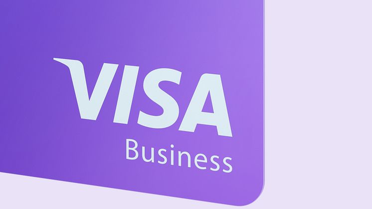 Visa Logo