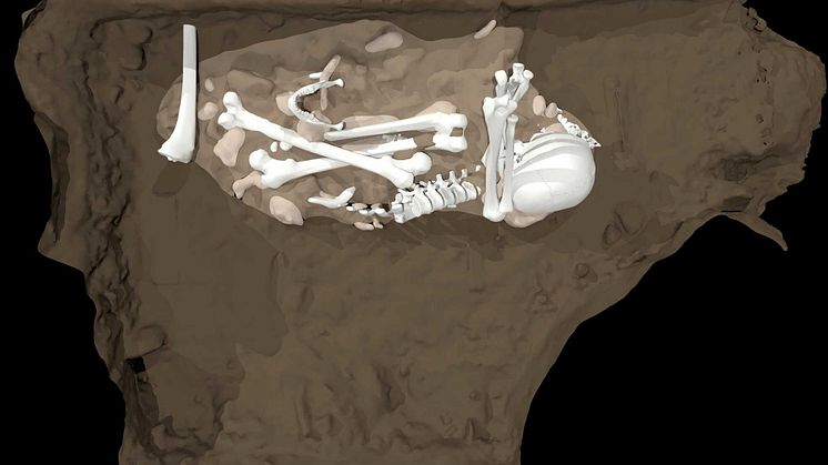 Artist’s reconstruction of the burial of an adult Homo naledi found in the Dinaledi Chamber (credit Berger et al., 2023)